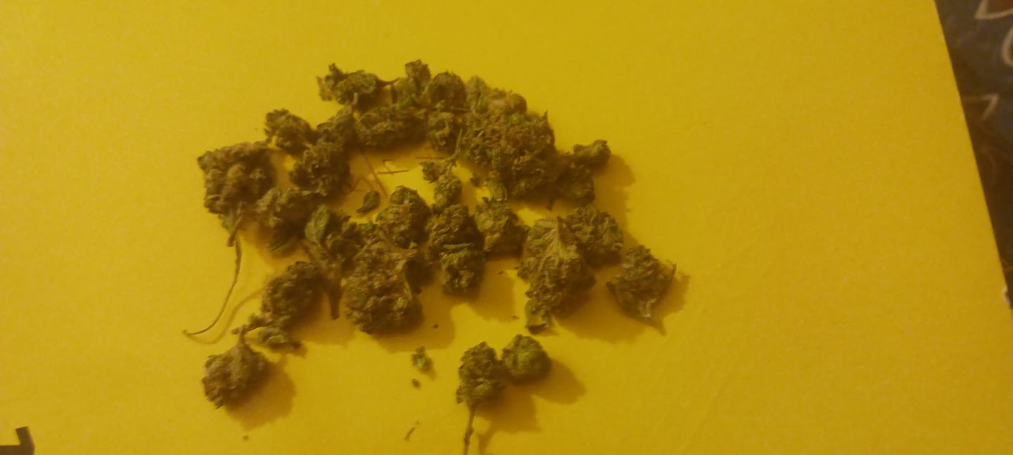 Customer photo review of 💎Girl Scout Cookie - Diamond Infused Shake 1oz (Buy 1 Get 1)