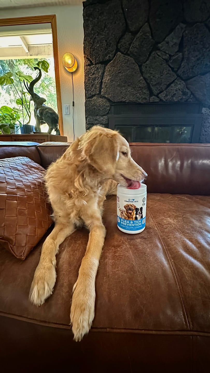 Customer photo review of Dog Flea and Tick Prevention for Outdoor & Seasonal Protection – Skin & Coat Support, 120 Soft Chews (Beef Flavor)