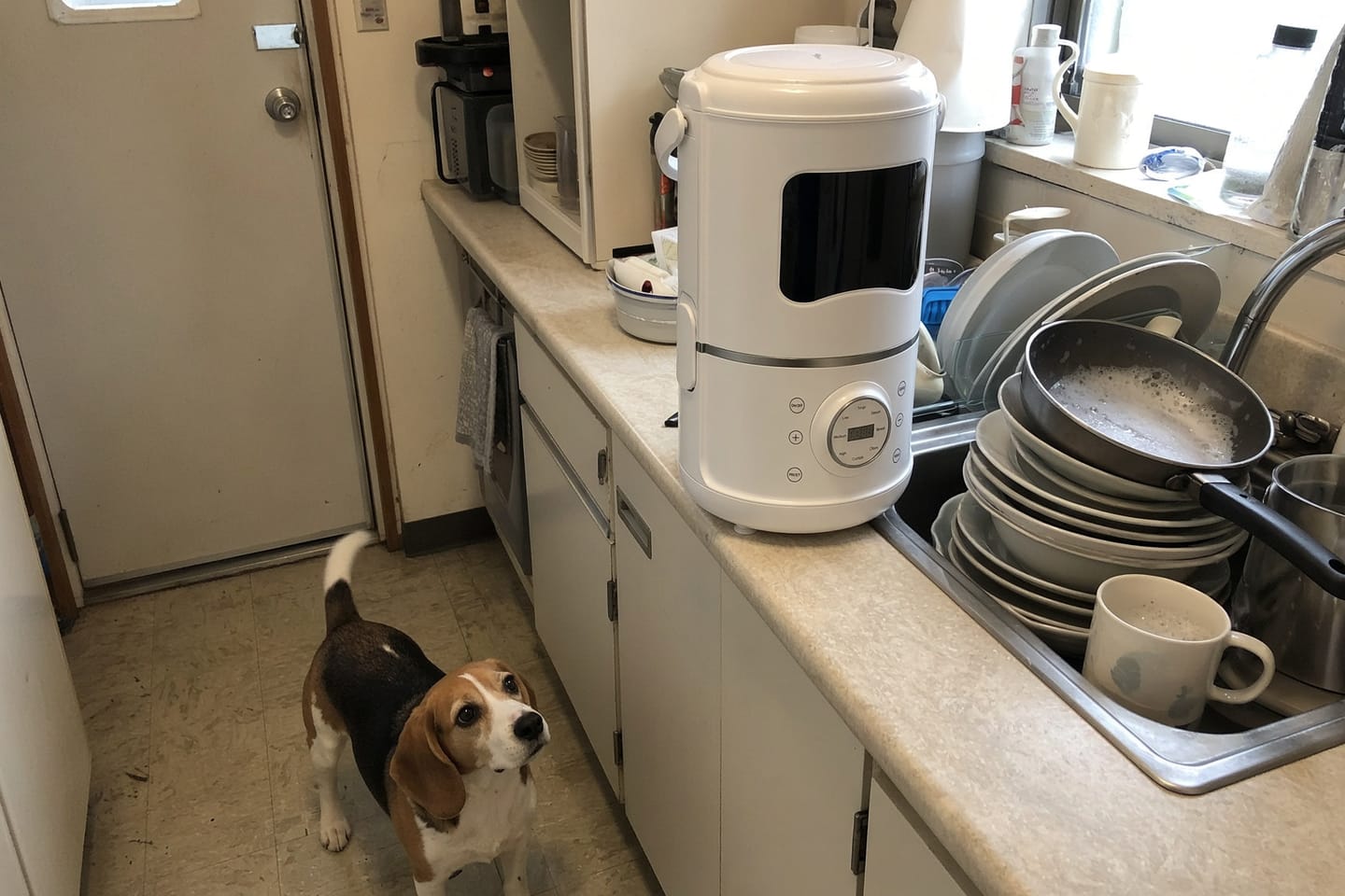 Customer photo review of Kiba Kitchen Fresh Food Maker
