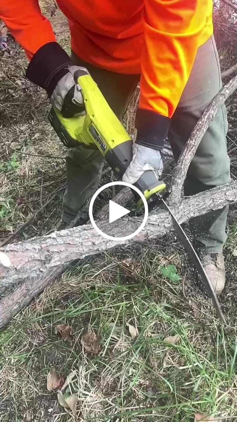 Customer video review of Tree Trimming/Wood Cutting – Japanese Teeth Arc Edge 6 TPI Reciprocating Saw Blade