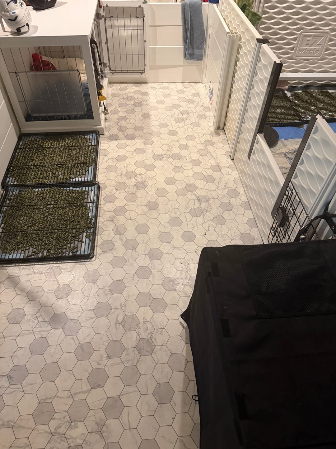 Customer photo review of Little Wolves Potty Tray 22" x 22"