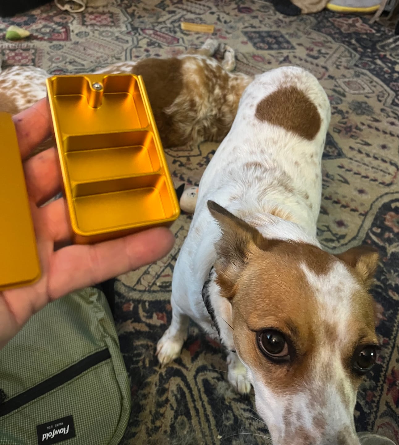 Customer photo review of Mission Case