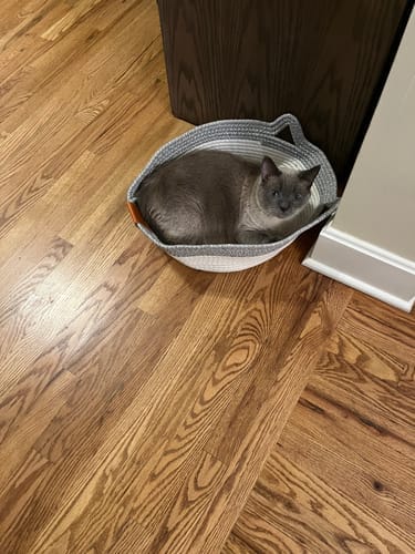Customer photo review of Effico™ Handgeweven Krabmand voor Katten