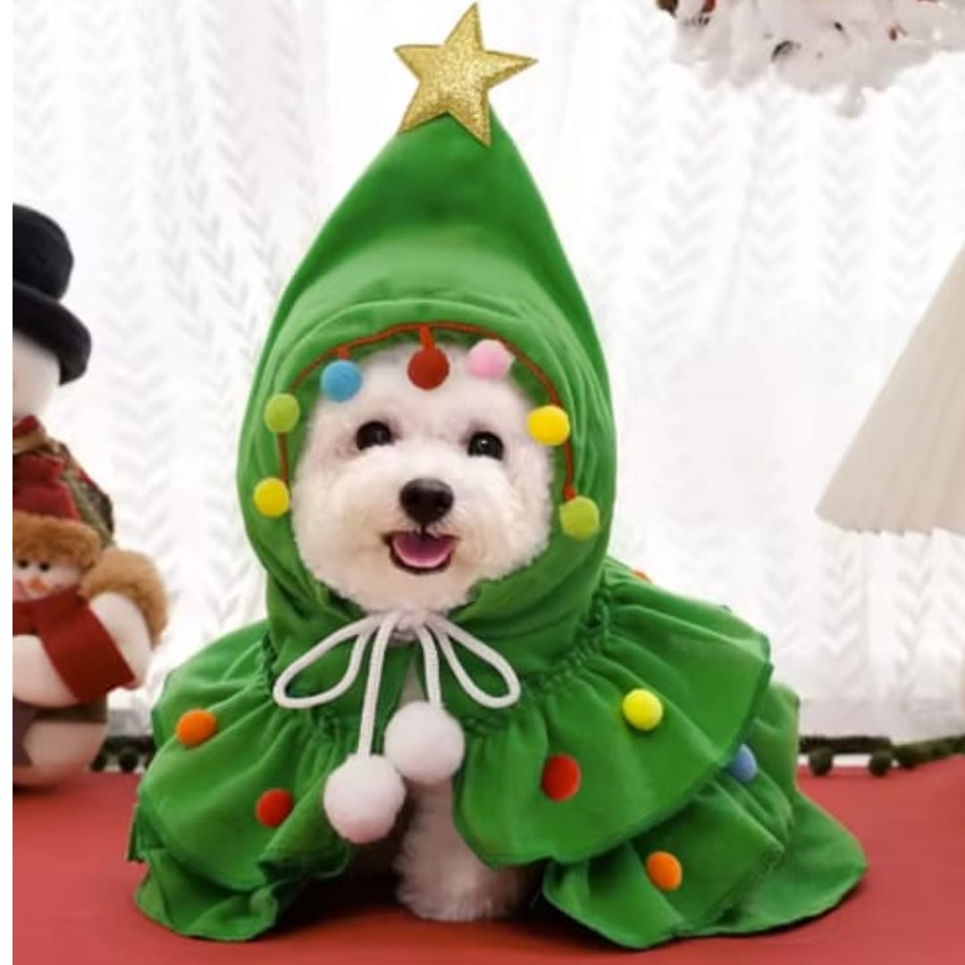 Customer photo review of Disfraz Árbol de Navidad para Perros 🎄