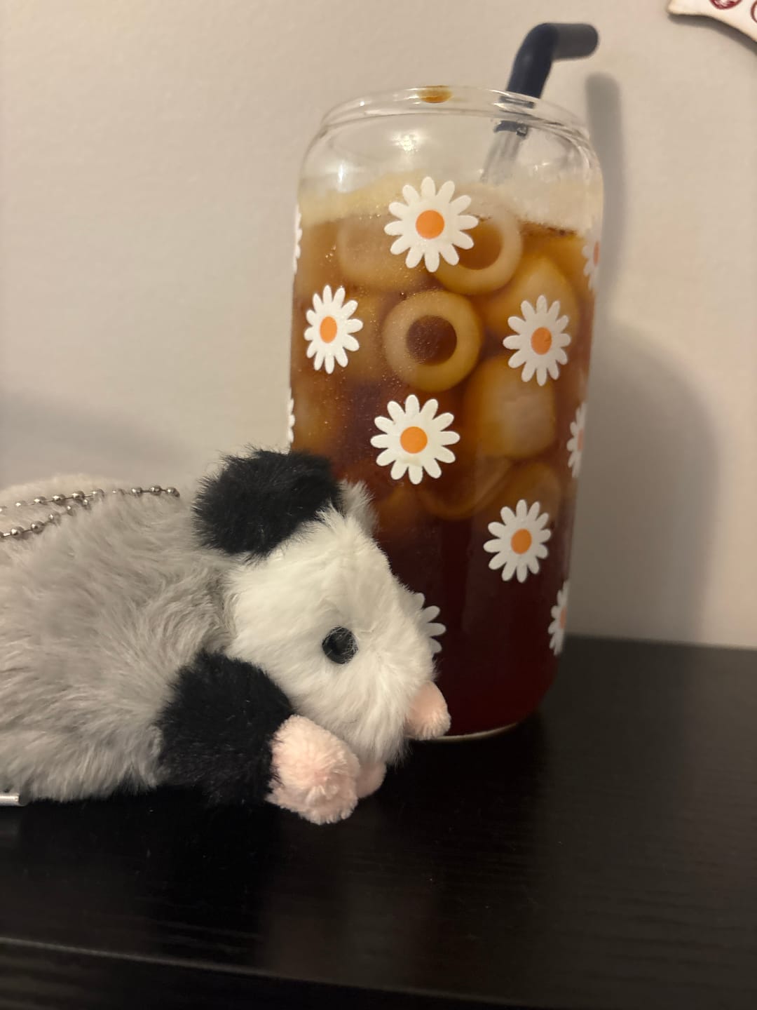 Customer photo review of Forgotten Peter the Opossum