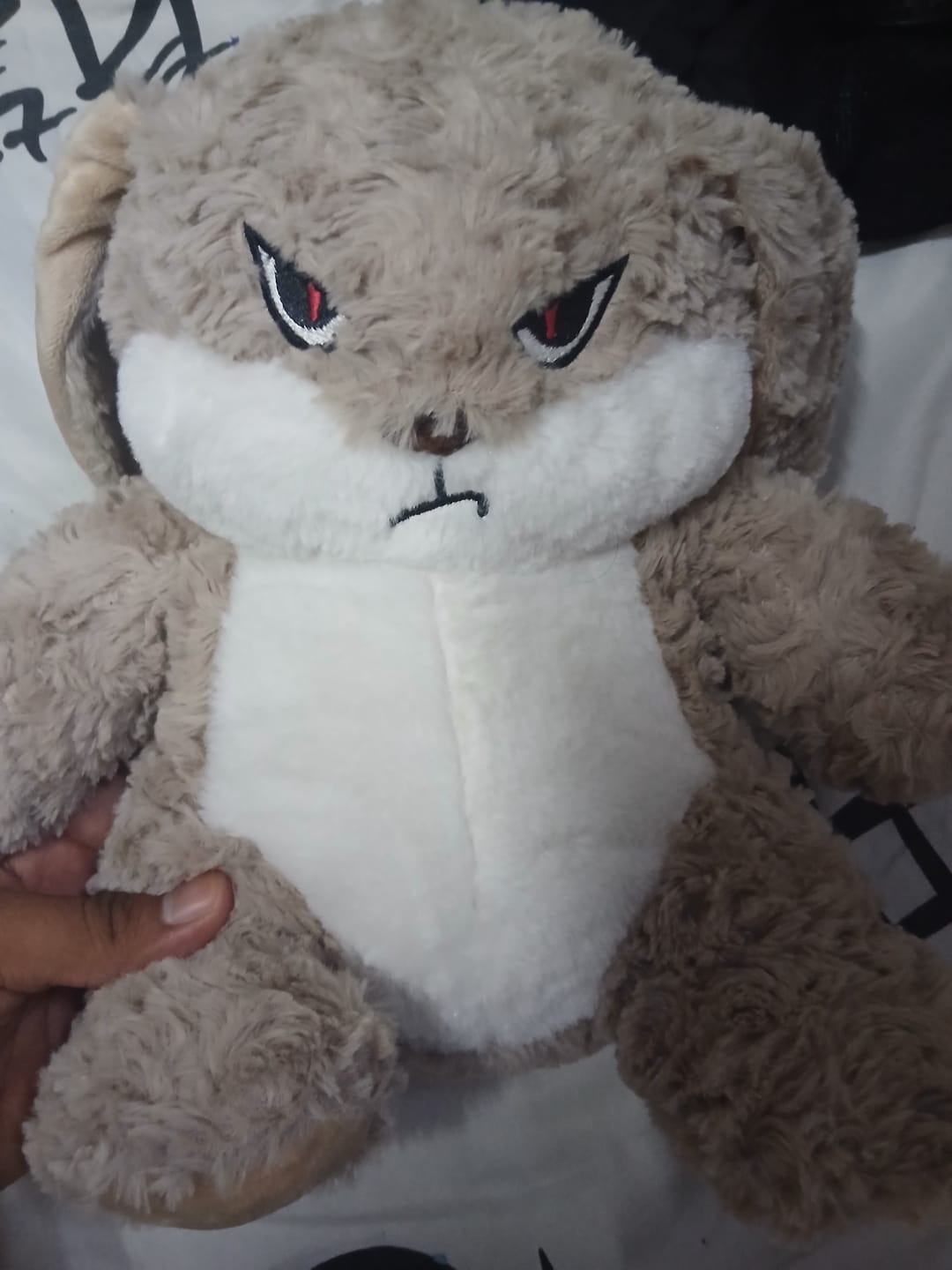 Customer photo review of Pompón™ El Peluche Gruñón