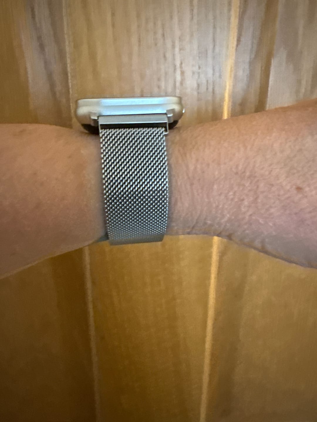 Customer photo review of Silver Milanese Loop