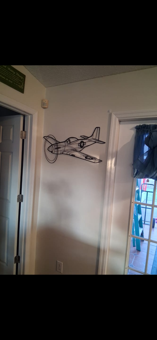 Customer photo review of P-51 Mustang Angle Silhouette Metal Wall Art