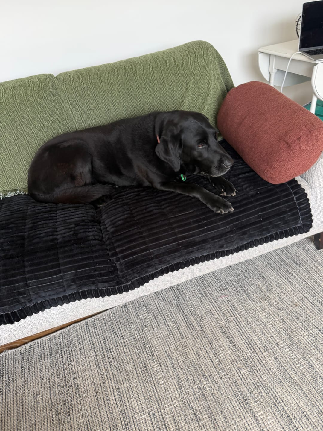 Customer photo review of Cosy Couch - Couch Cover