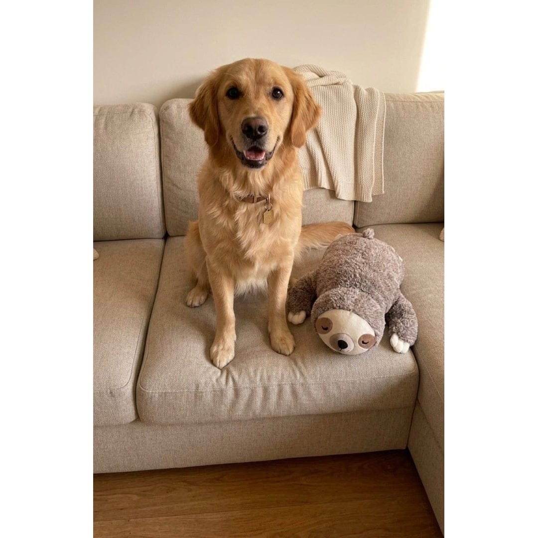Customer photo review of Kuschelfreund mit beruhigendem Herzschlag