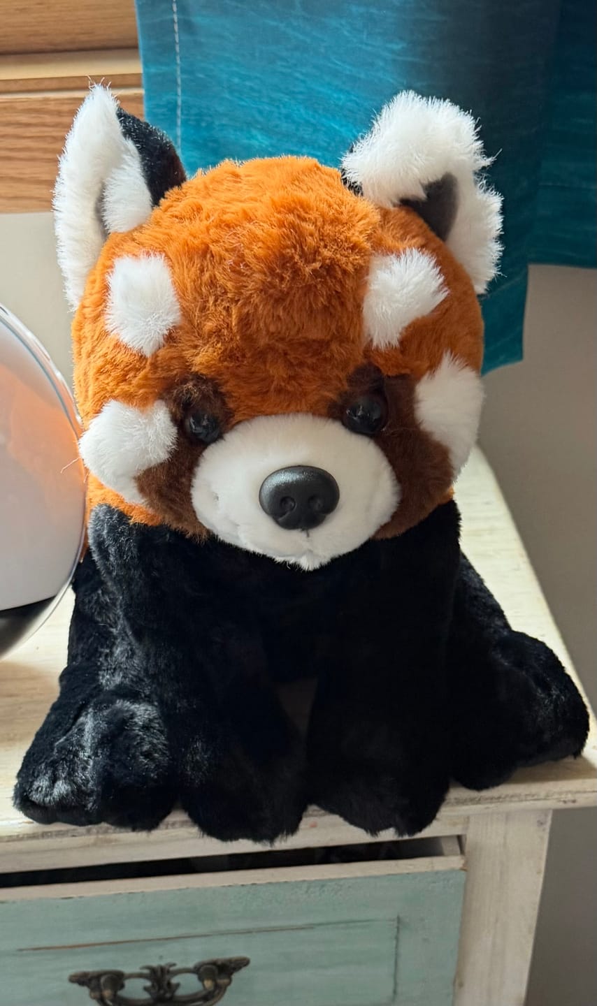 Customer photo review of The Dash Plush