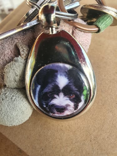 Customer photo review of Schlüsselanhänger mit Hundefoto