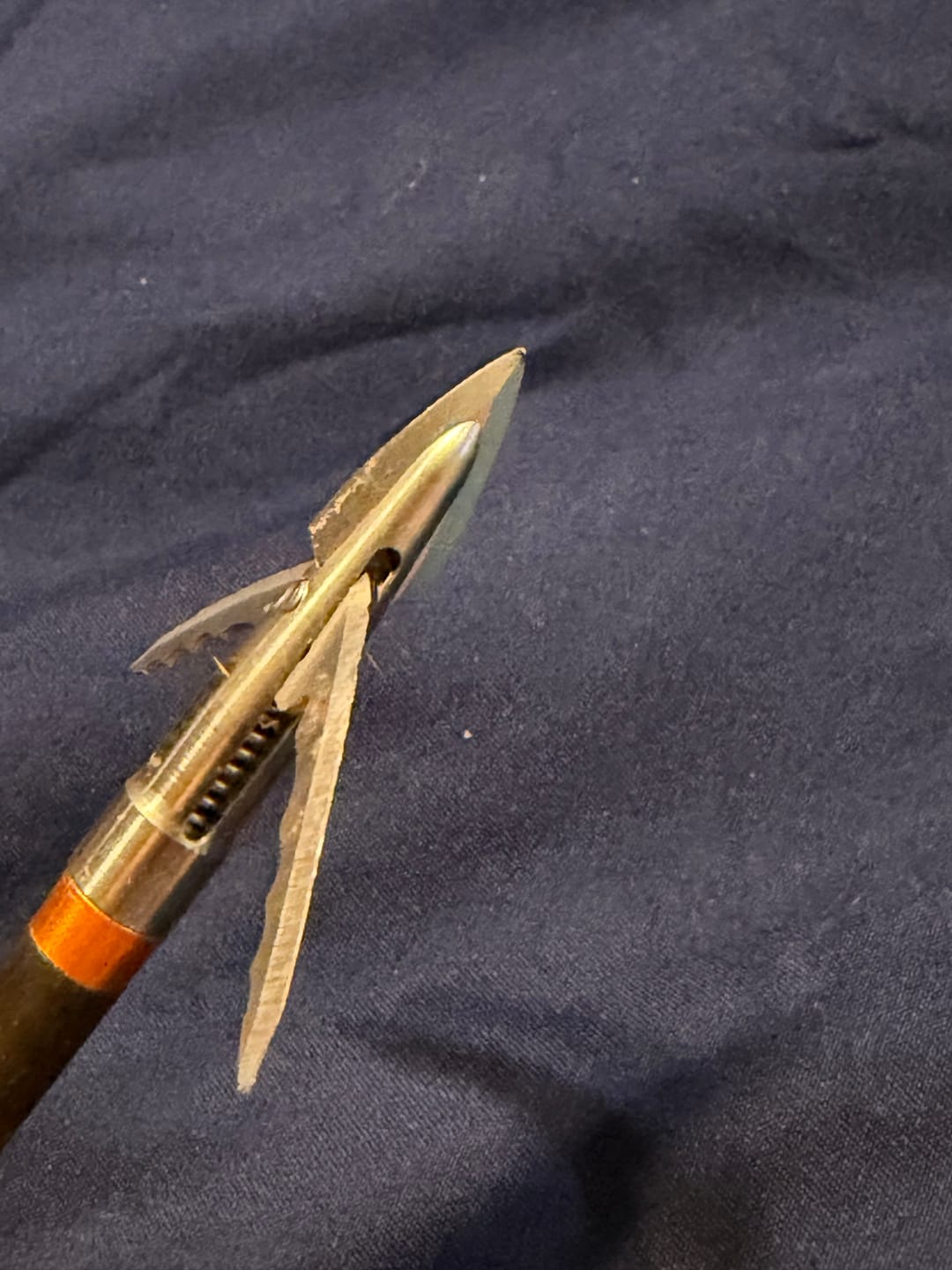 Customer photo review of Cut on Contact Titanium Broadheads (3 Pack)