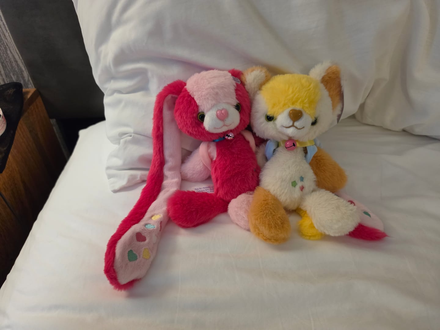 Customer photo review of Magical Noopy2 Plush - PARKER