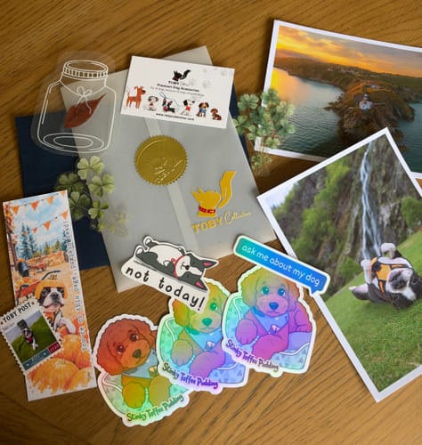 Customer's custom pet stickers arranged with extra stationery gifts on a wooden table.
