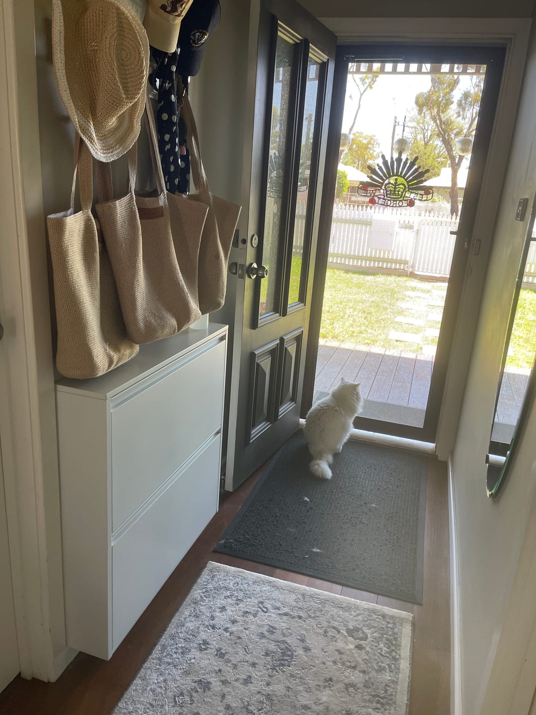 Customer photo review of Wall Mounted Shoe Cabinet