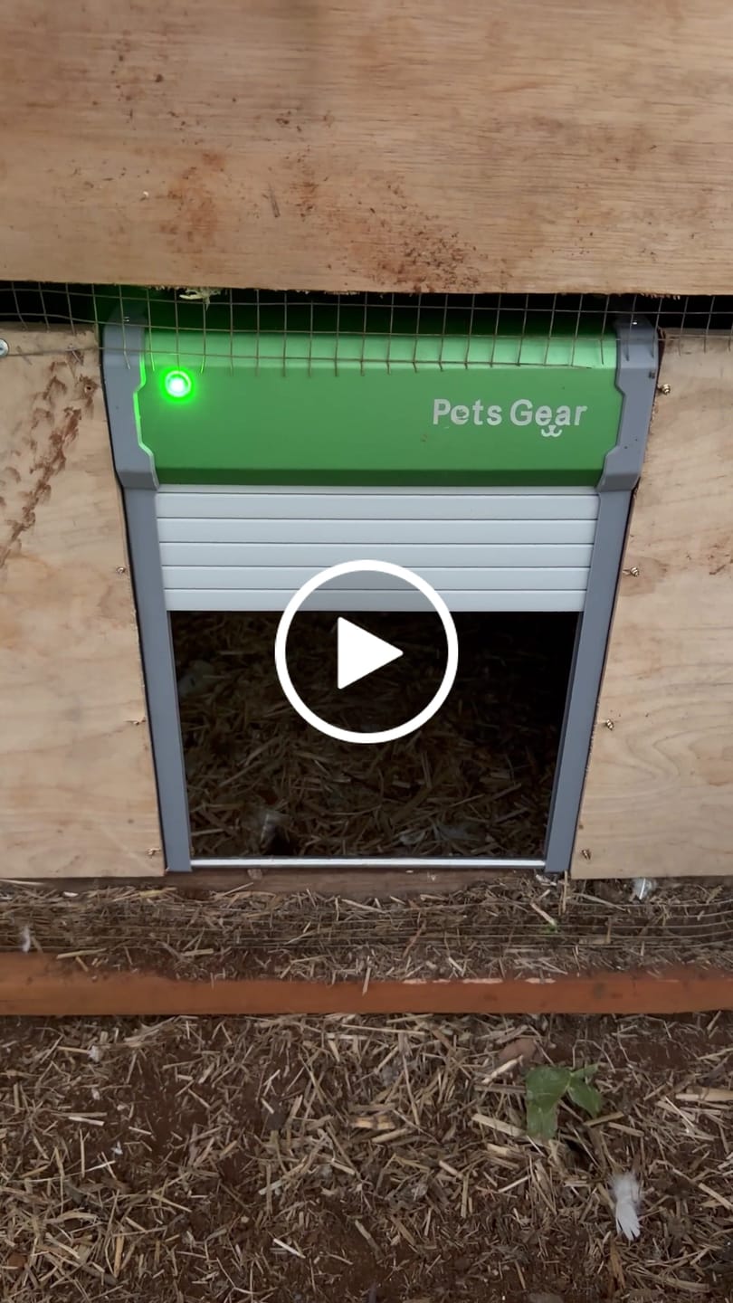 Customer video review of Pets Gear Automatic Chicken Coop Door Solar Powered