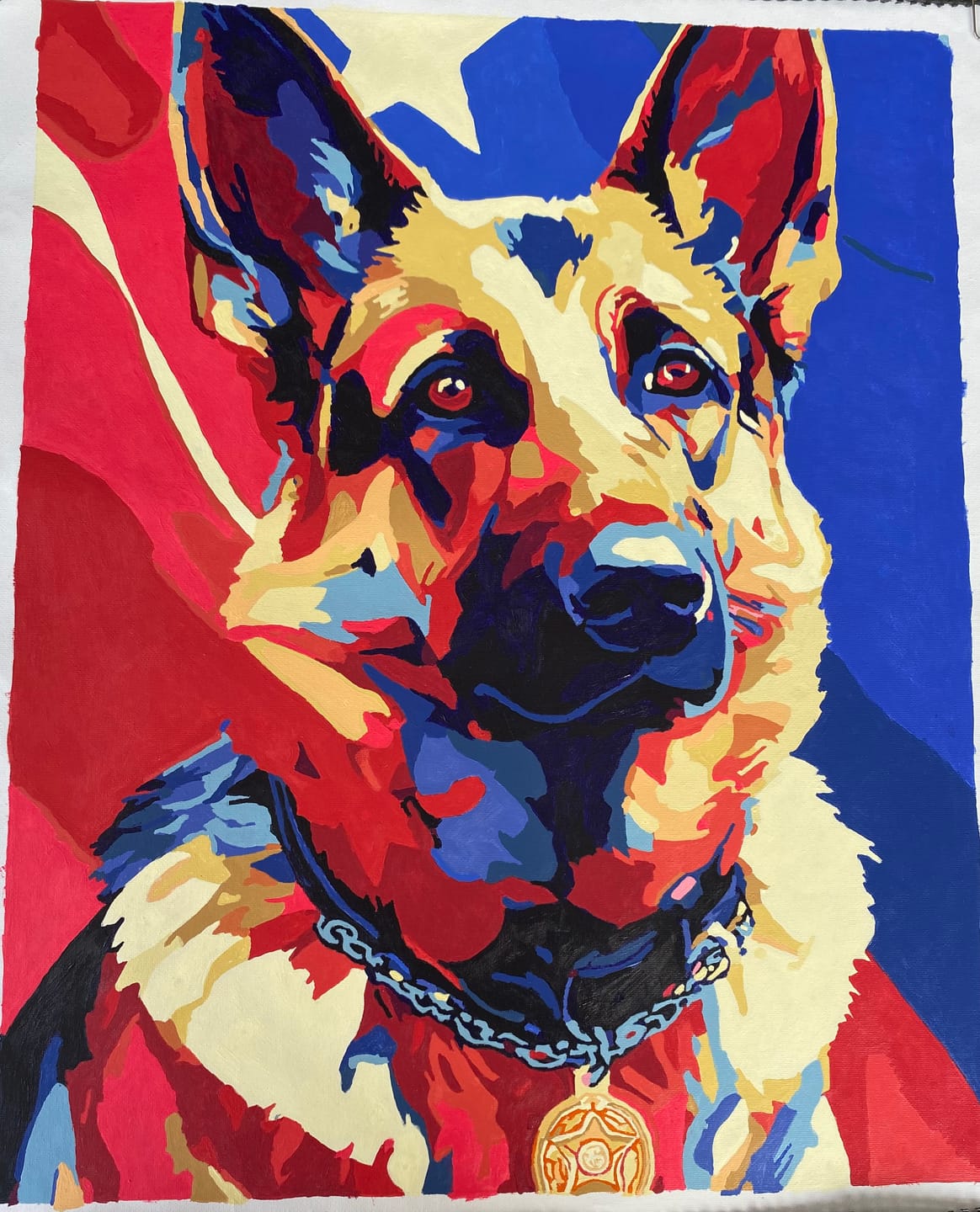 Customer photo review of Honoring K9 | Paint by Number