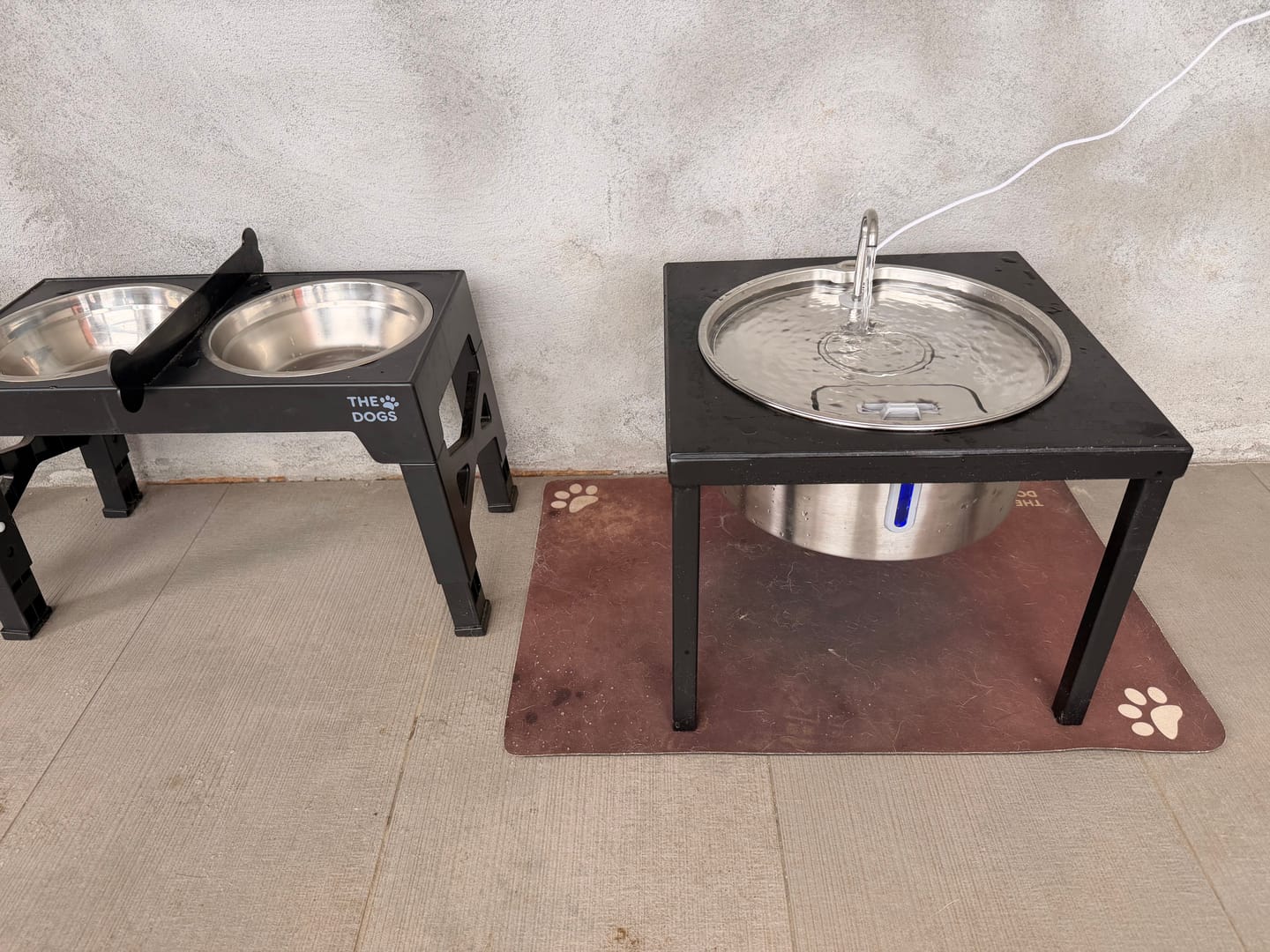 Customer photo review of Aquaflow THE DOGS — Agua siempre limpia y fresca