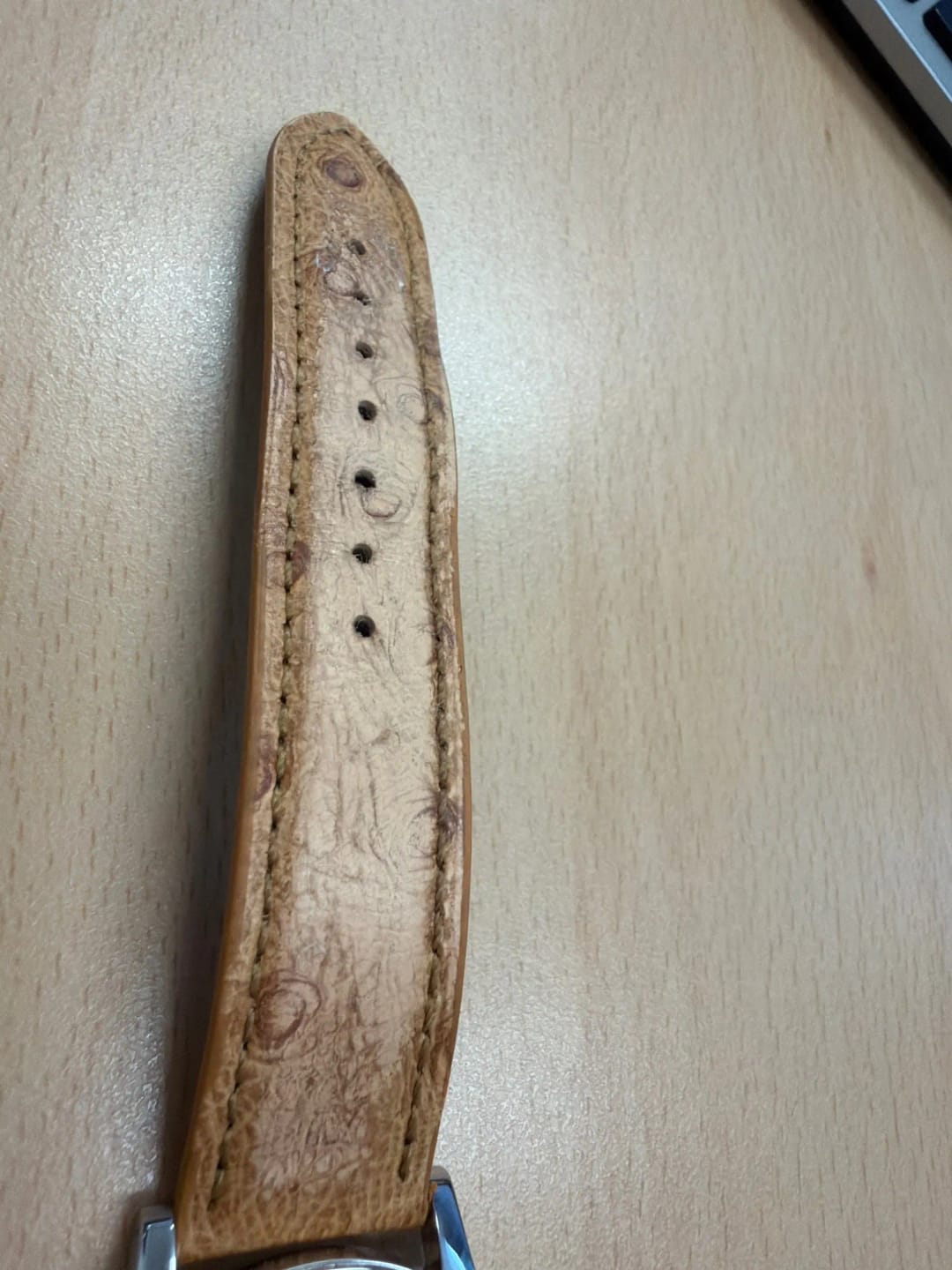 Customer photo review of Garmin 18/20/22mm Quick Release Ostrich-Pattern Leather Band