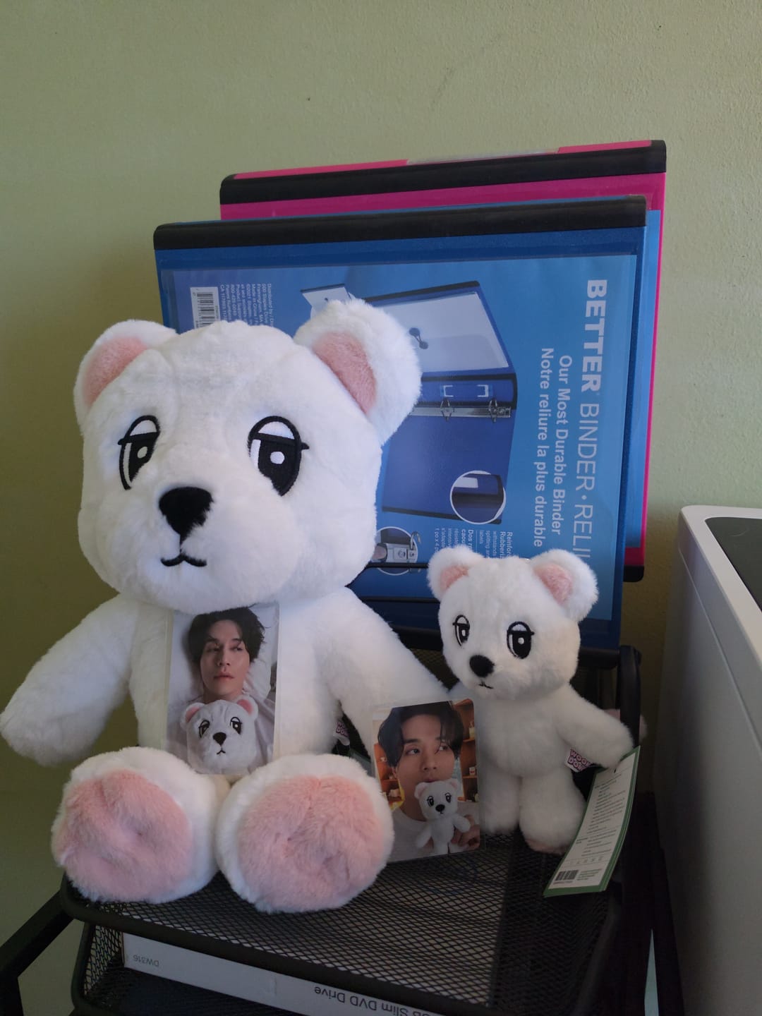 Customer photo review of LEE DONG WOOK [WOOKDONG’s Home Sweet Home] Wookdong Plush Keyring