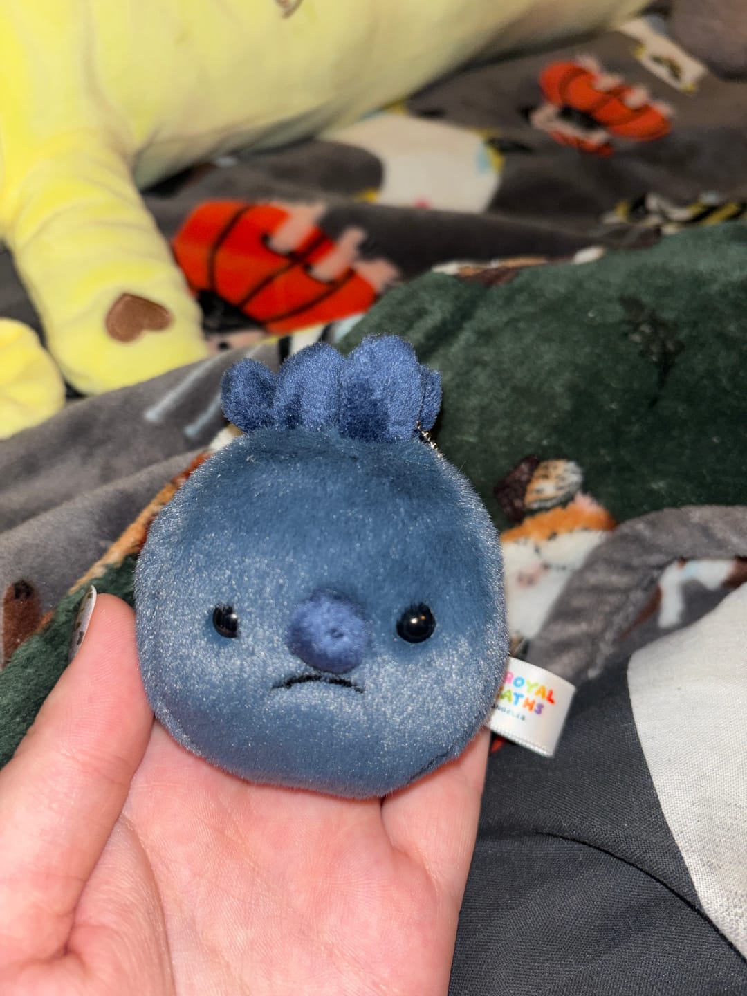 Customer photo review of Forgotten Single Blueberry