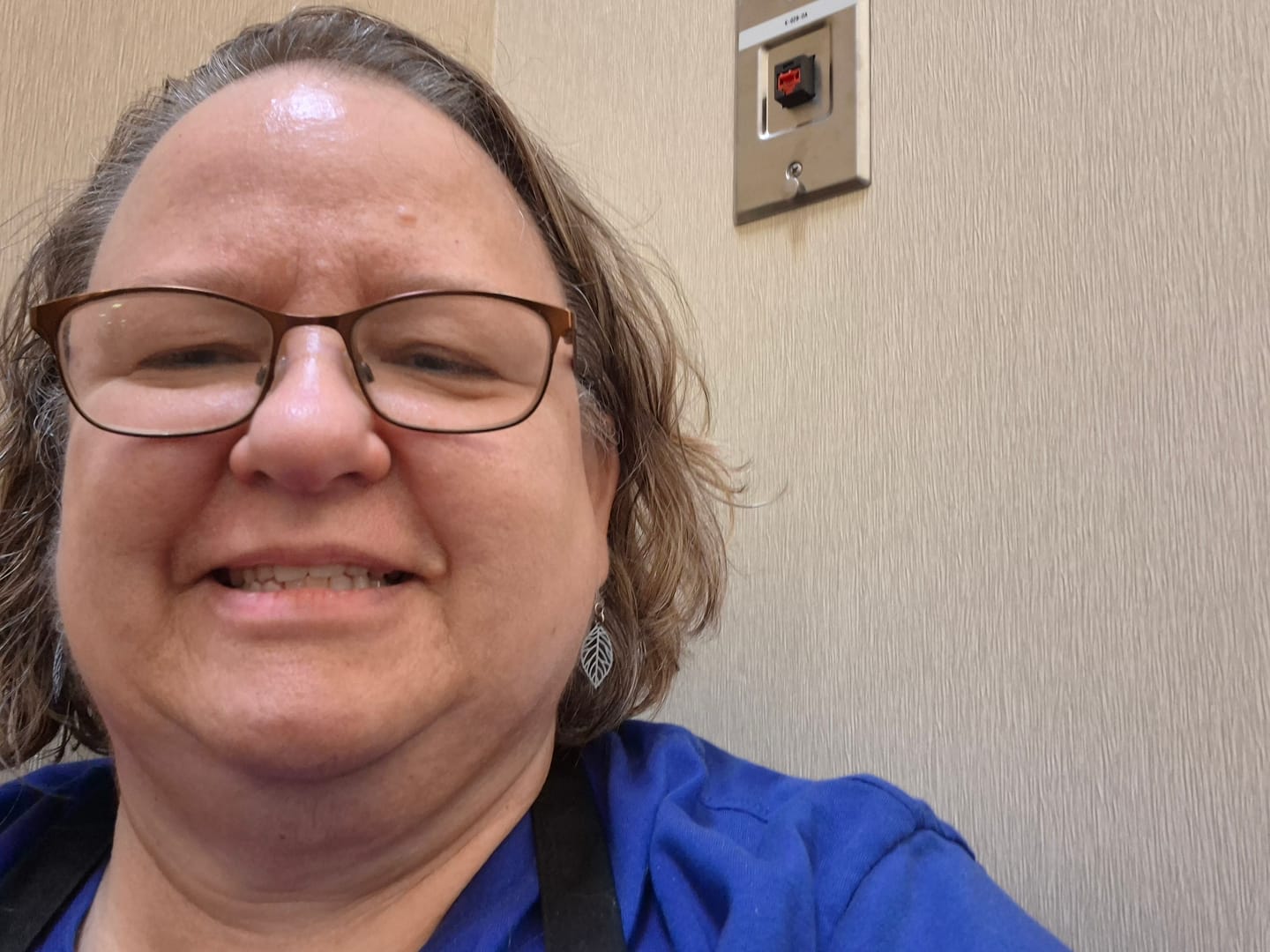 Customer photo review of Petite Leaf Dangles Hypoallergenic Earrings for Sensitive Ears with Plastic Posts