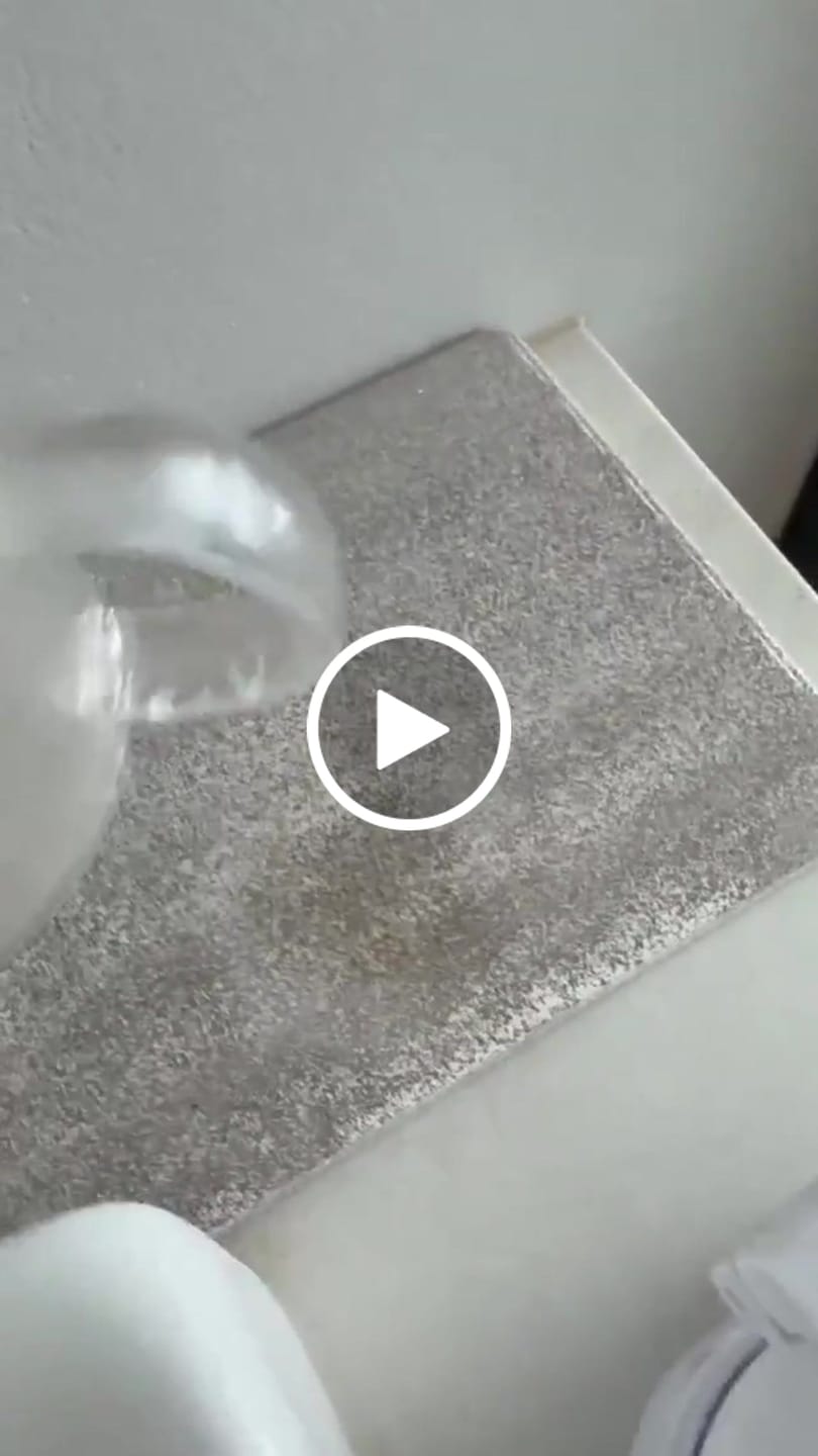 Customer video review of Diatomite Homeware
