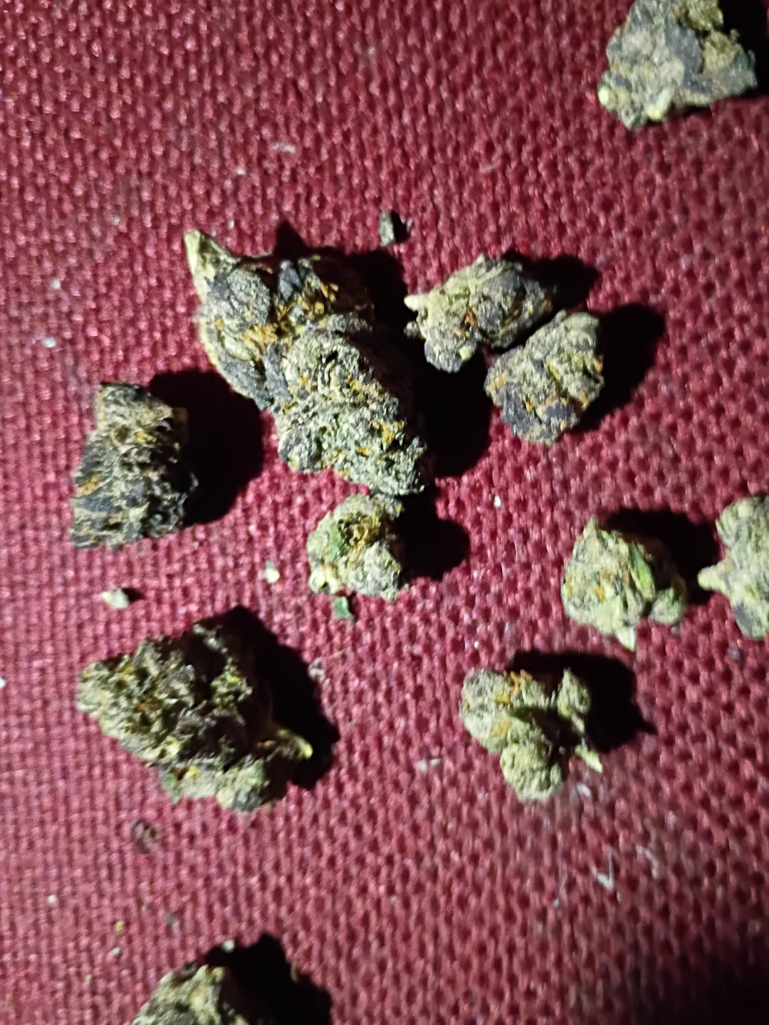 Customer photo review of Cheap Indoor THCA Flower Ounce
