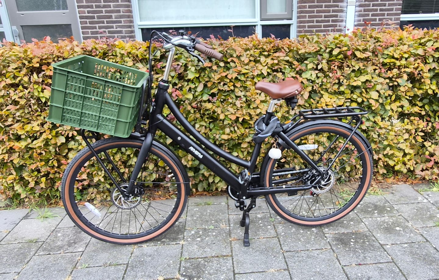 Customer photo review of Cargo Plus D7