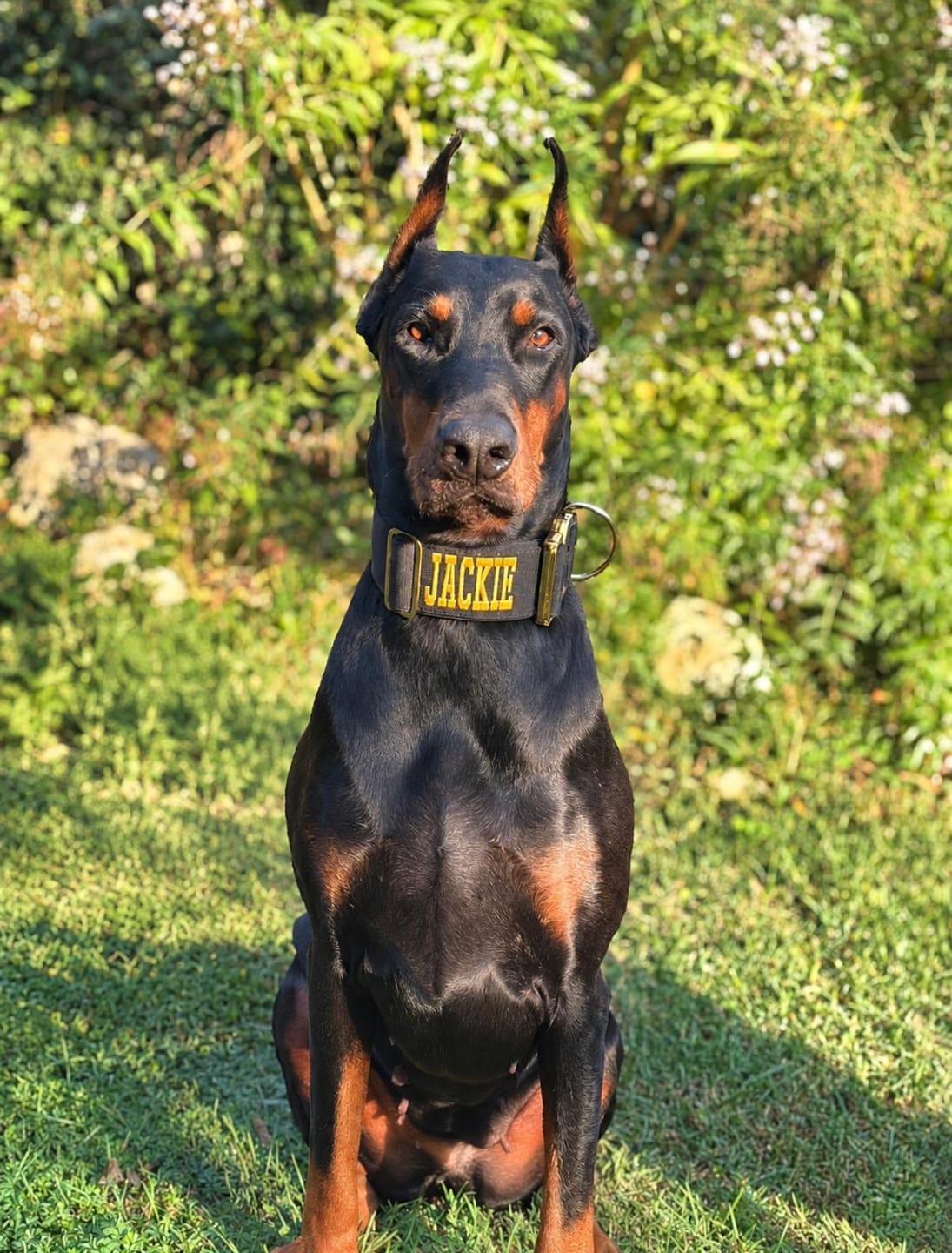 Customer photo review of Collare Crime 5cm