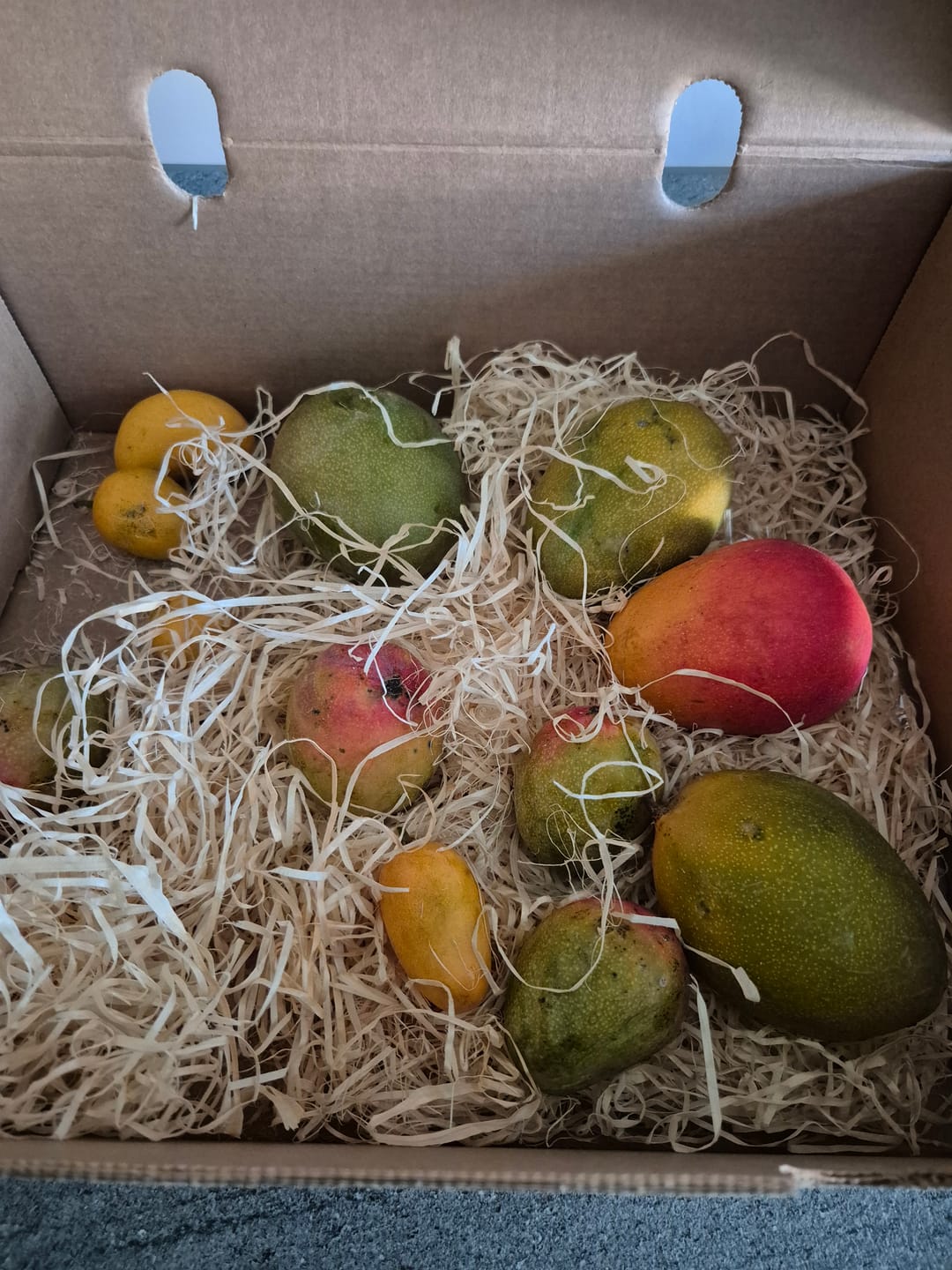 Customer photo review of Mini-Mango von Juan 3kg Retterbox %