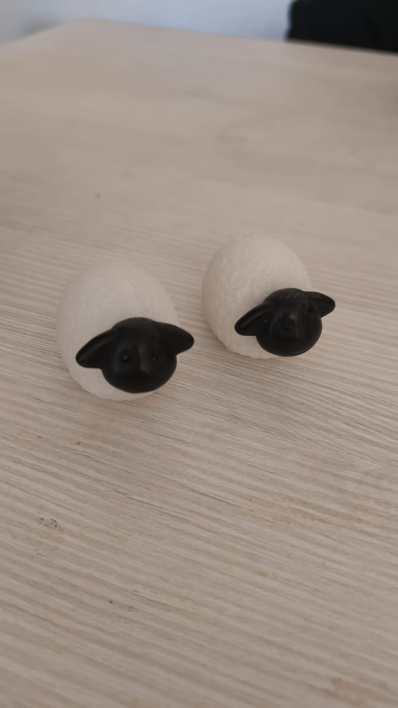 Customer photo review of Ovejitas  | Jade Blanco - Obsidiana negra | Calma - Protección