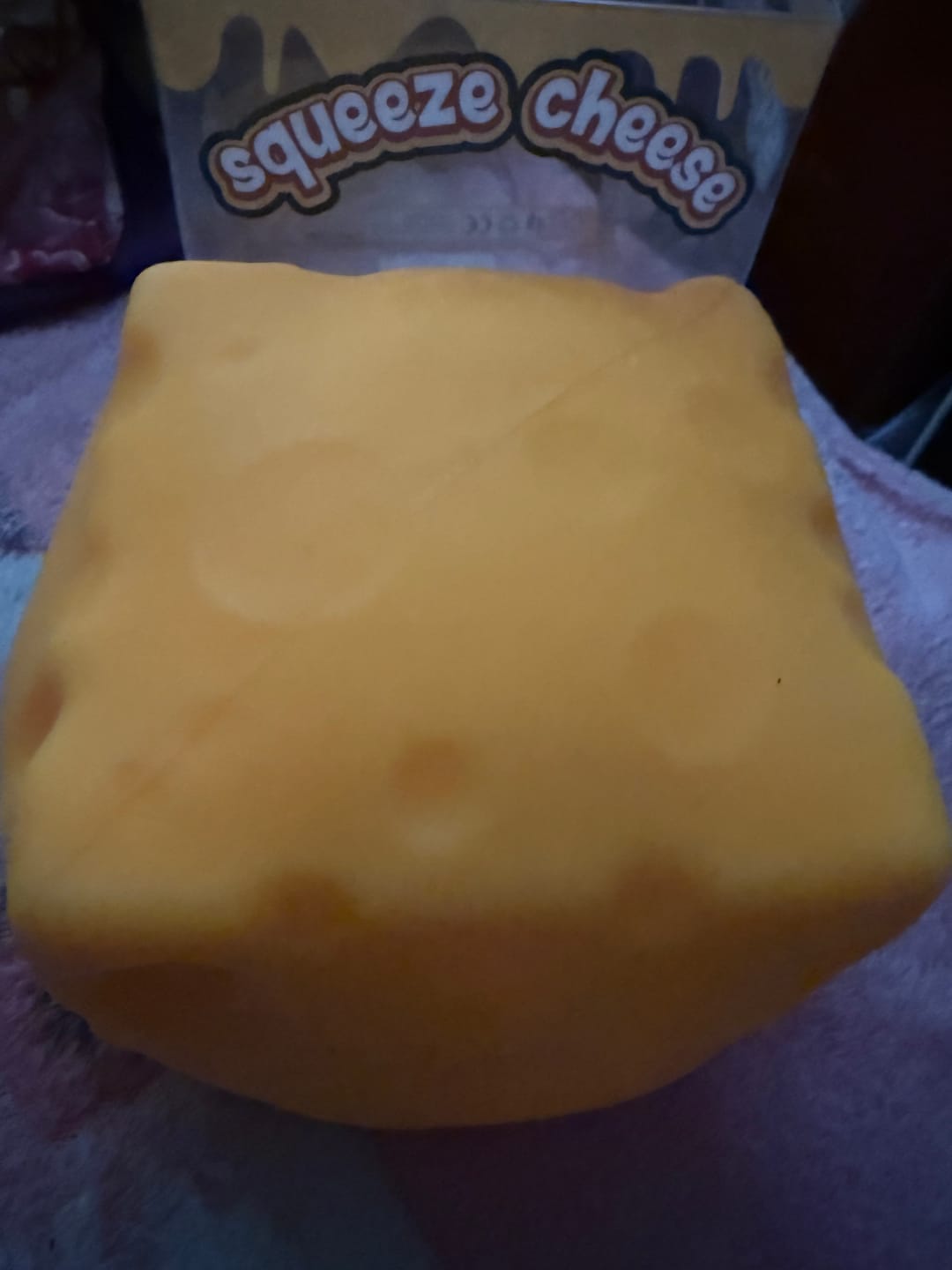 Customer photo review of Jumbo Squishy Cheese