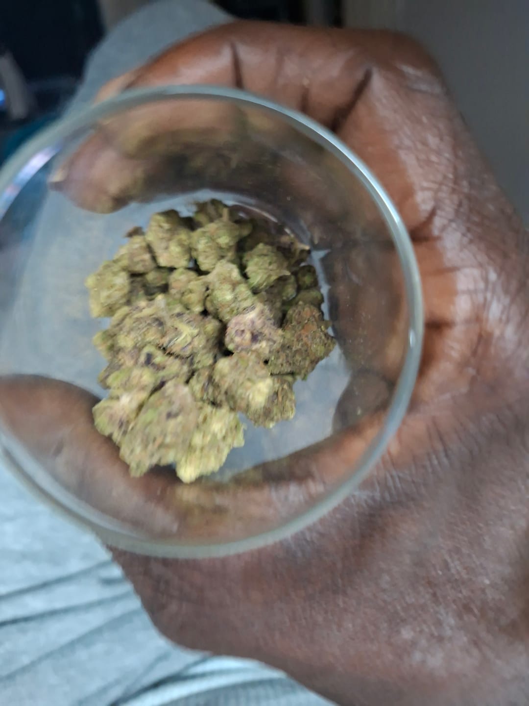 Customer photo review of Do Si Dos x Lava Cake Mediums - Bulk Mediums - Indica