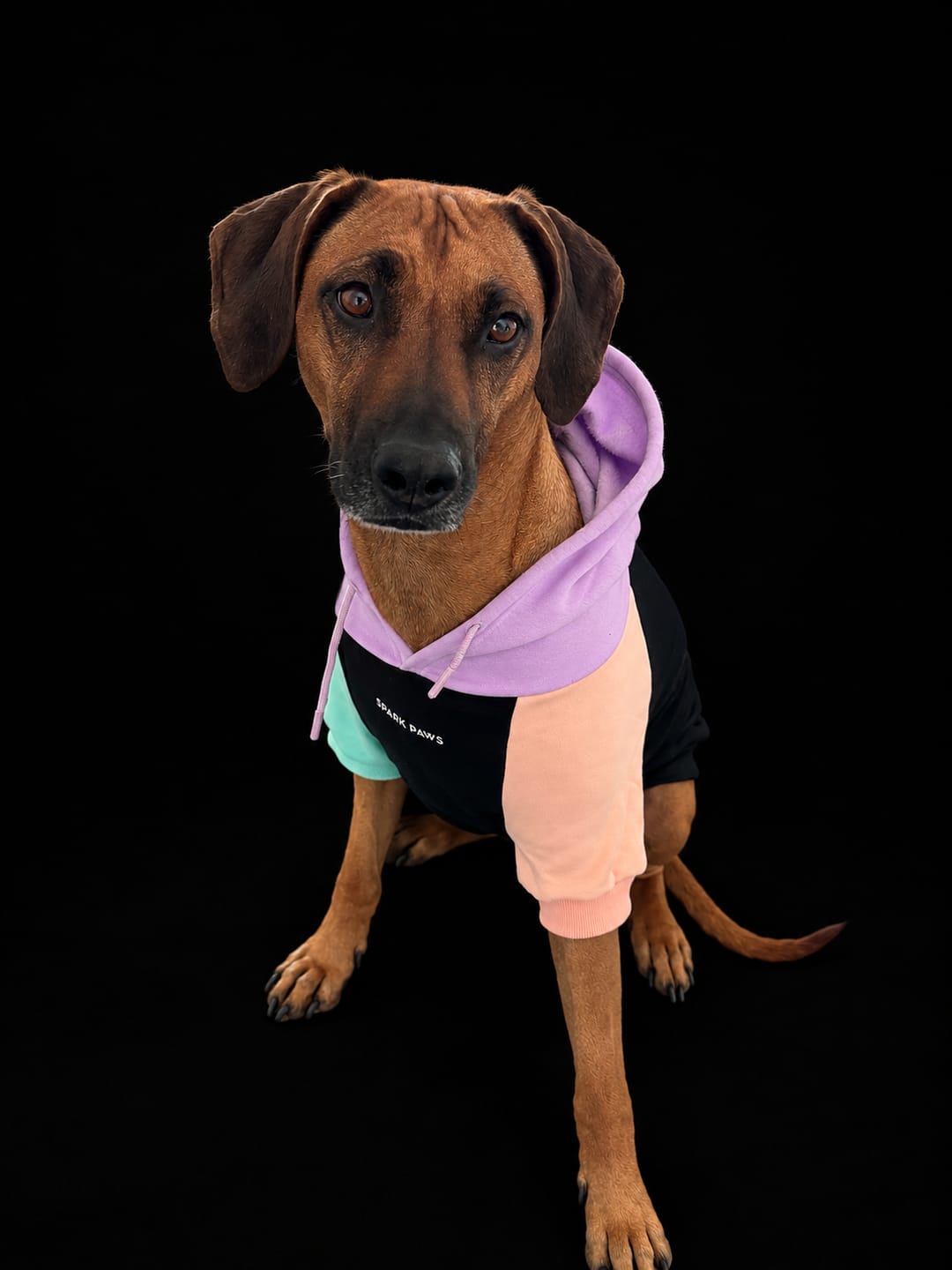 Customer photo review of Cyber Punk Dog Hoodie