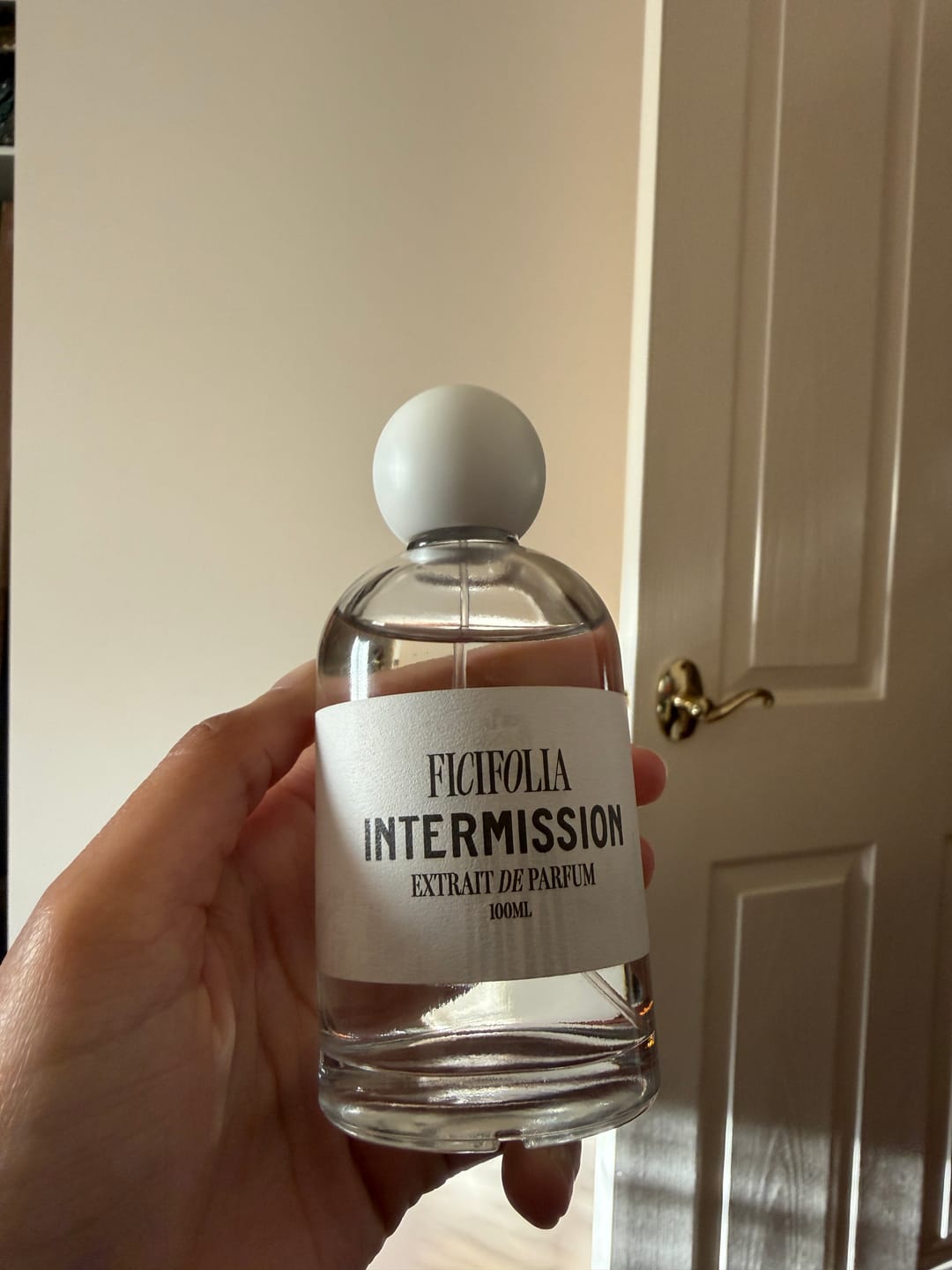 Customer photo review of INTERMISSION ™
