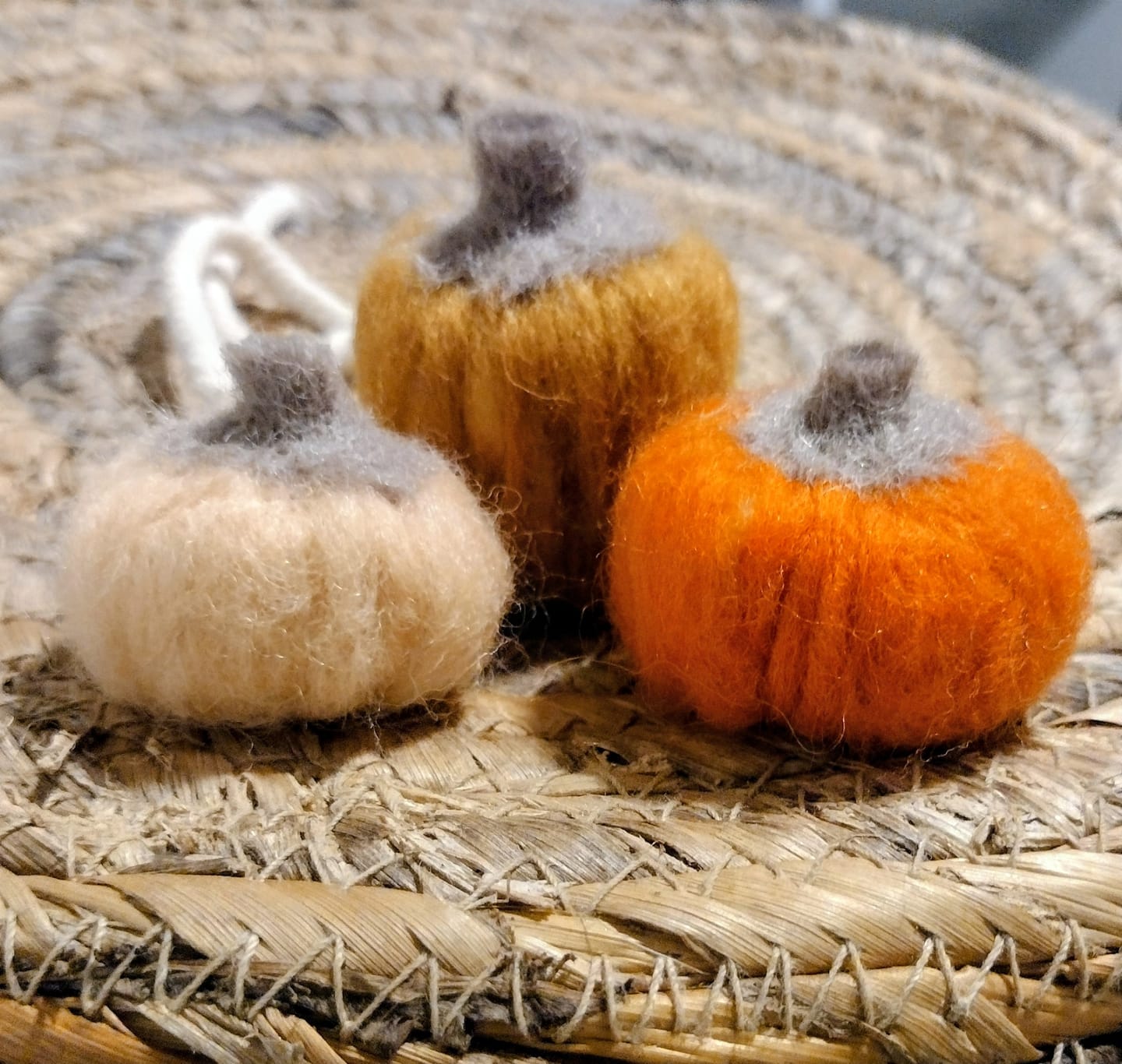 Customer photo review of Pumpkin Trio Mini Needle Felting Kit