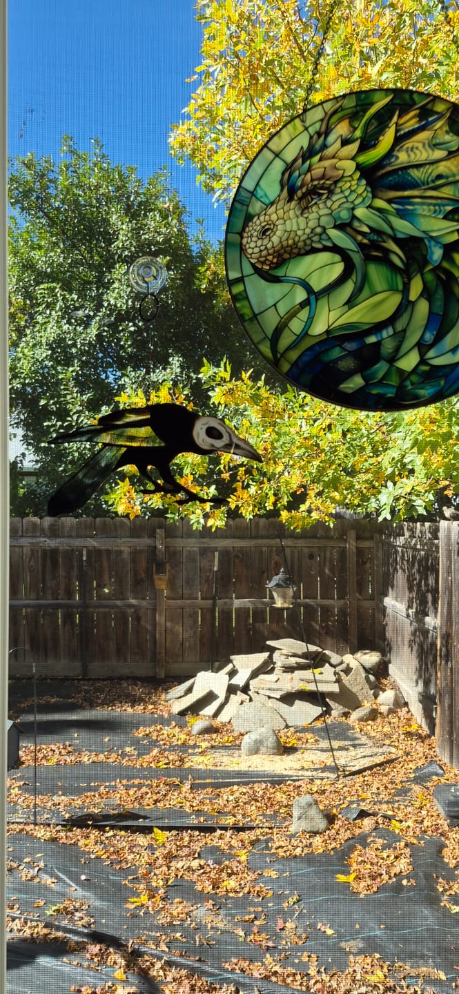 Customer photo review of Raven with Skull Face