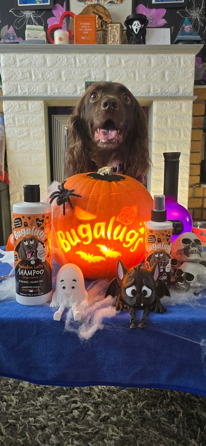 Customer photo review of Spooky Edition: Pumpkin Latte Bundle (Shampoo + Cologne)