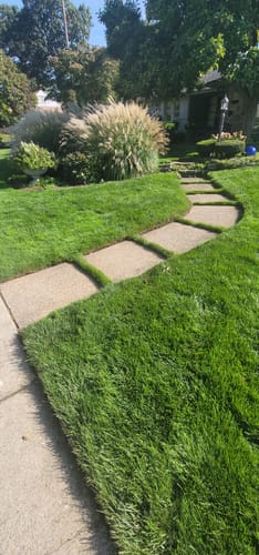 Customer photo