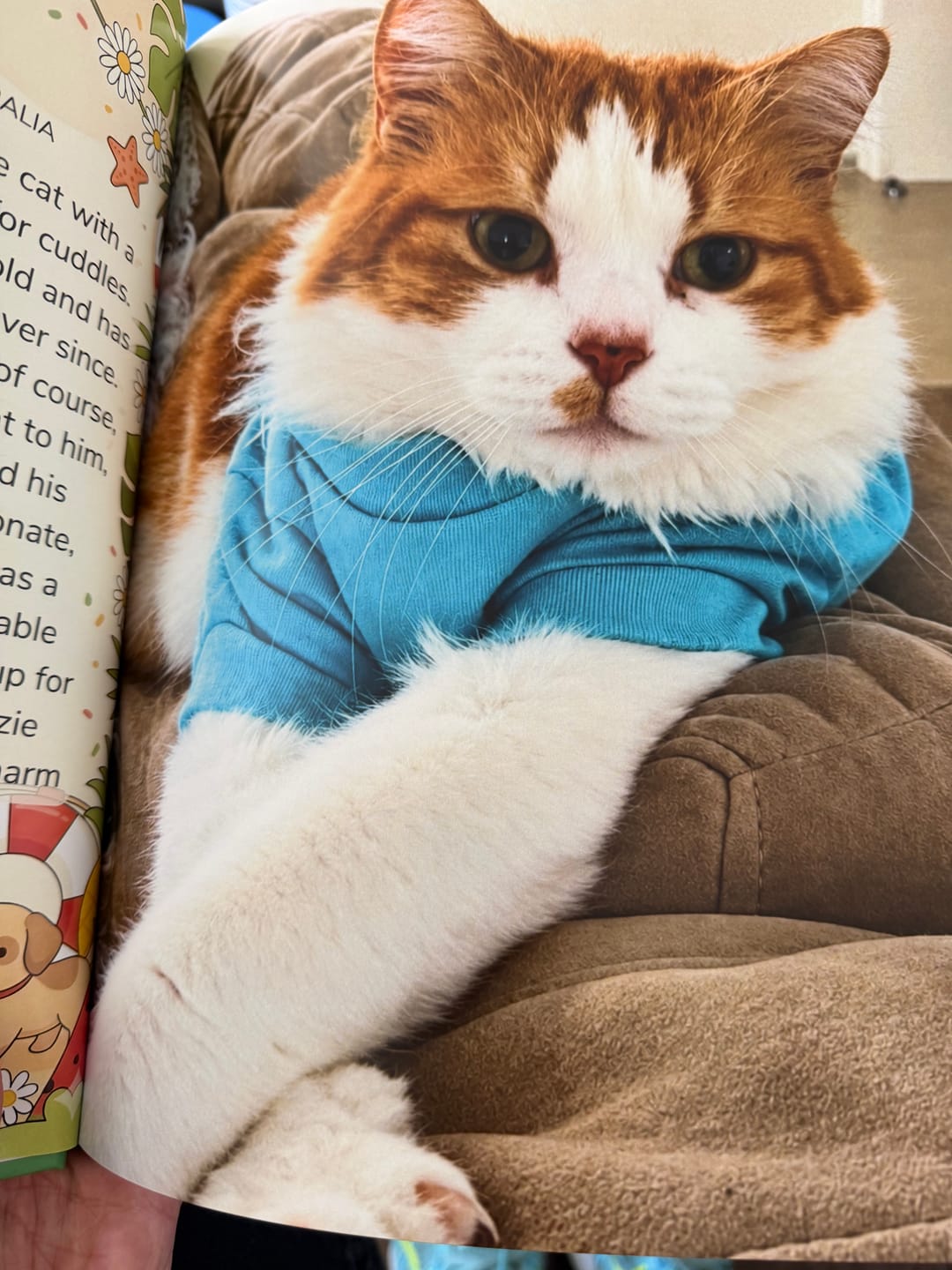Customer photo review of Cutest Pets of Pupvote Summer 2026