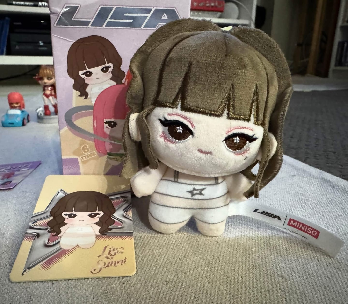Customer photo review of 【Pre-Order】LISA × MINISO - Plush Charm Blind Box