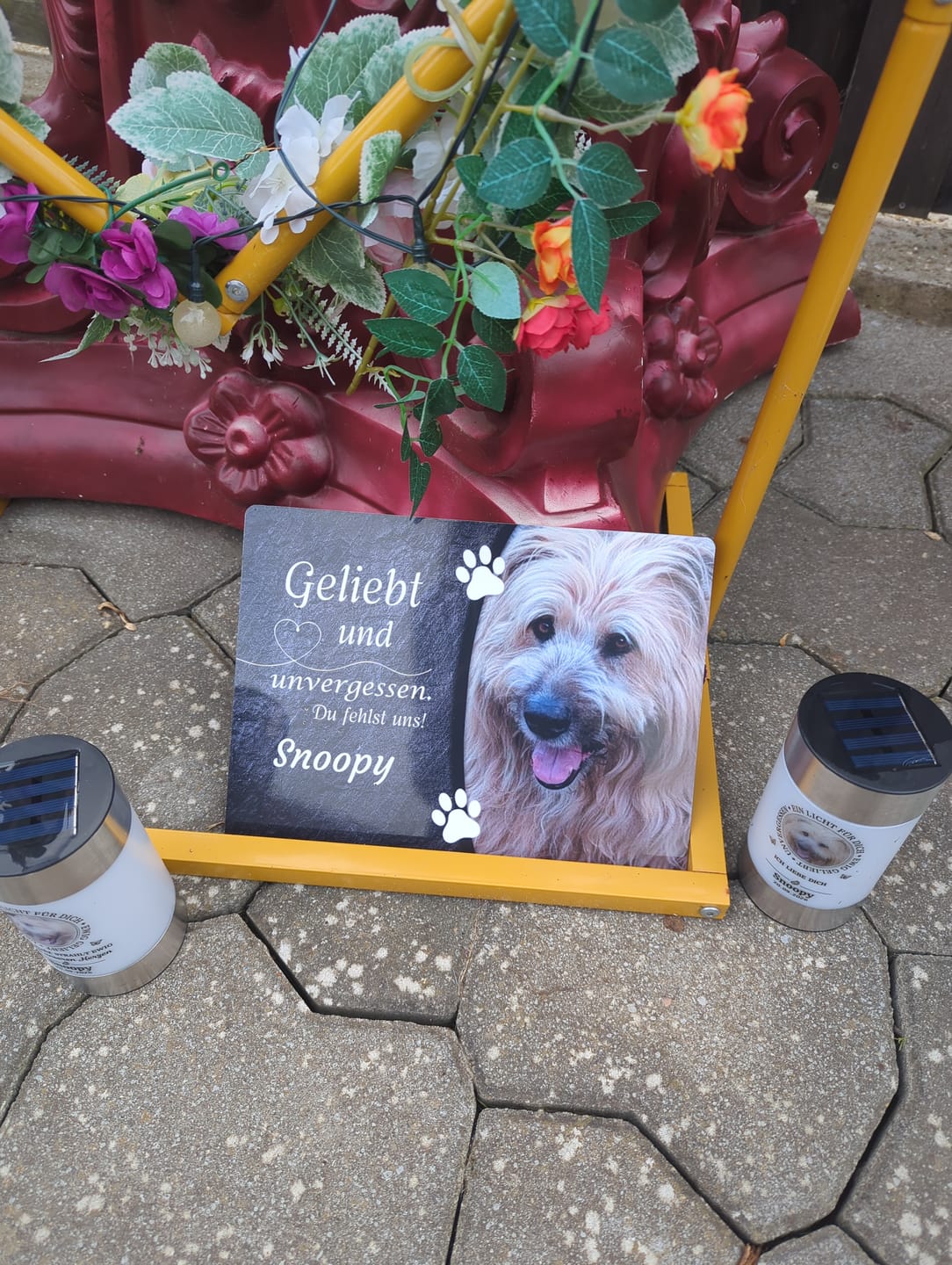 Customer photo review of Hunde Gedenktafel mit Foto & Spruch (UV- &  Wetterfest)