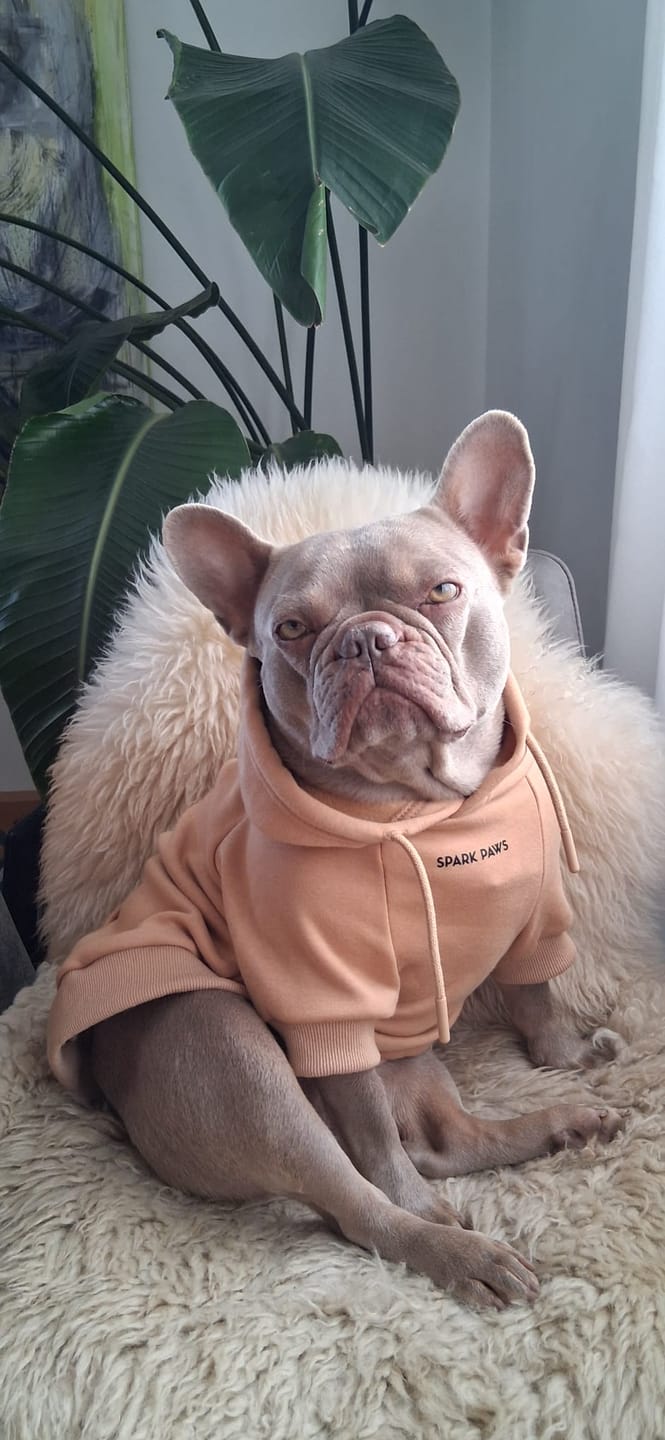 Customer photo review of Essential Dog Hoodie - Caramel