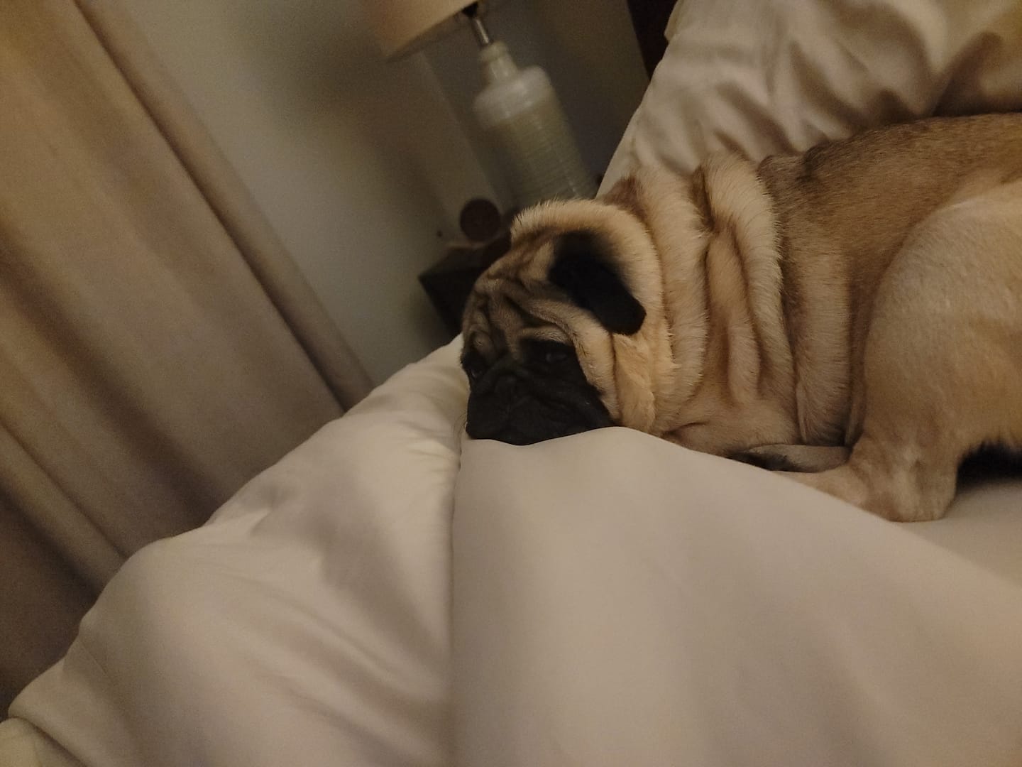 Customer photo review of CloudCool™ Cooling Sheet Set