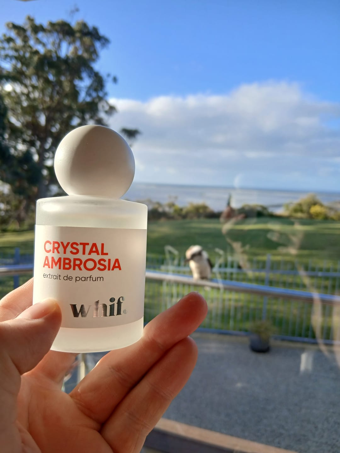Customer photo review of Crystal Ambrosia