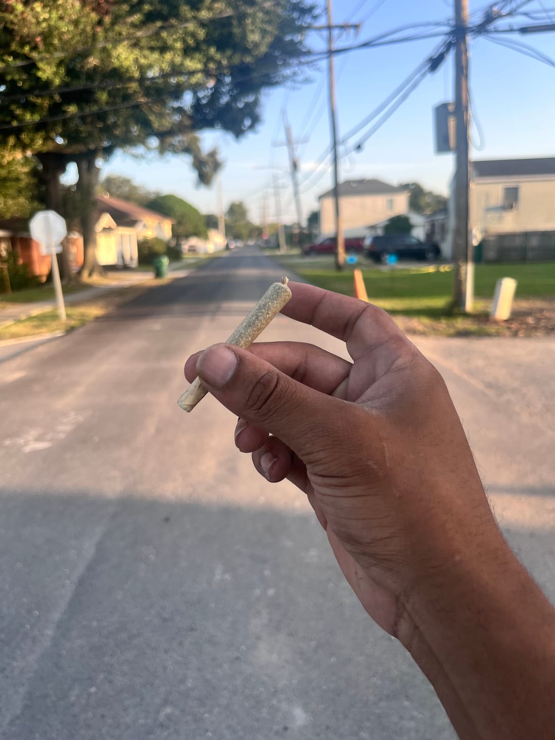 Customer photo review of KIND - Northern Lights - 28 Grams - Indica