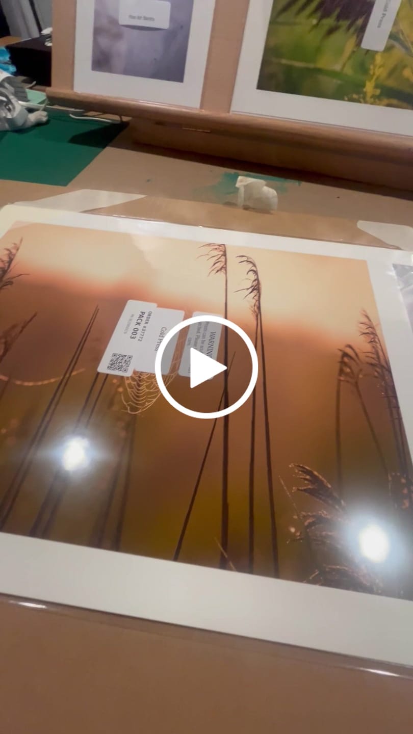 Customer video review of 6x8 Giclee Fine Art Prints