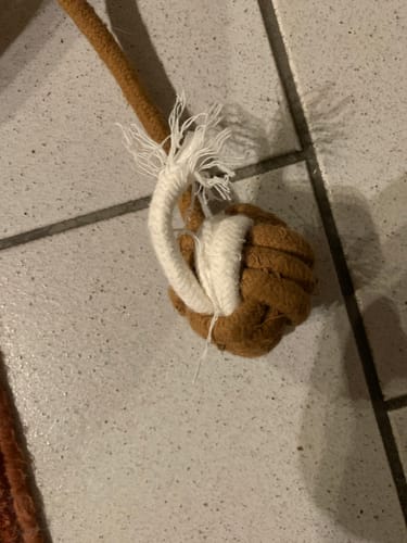 Reviewer's Fellnest Katzenkorb showing the frayed, broken rope toy attached to the brown woven bed.